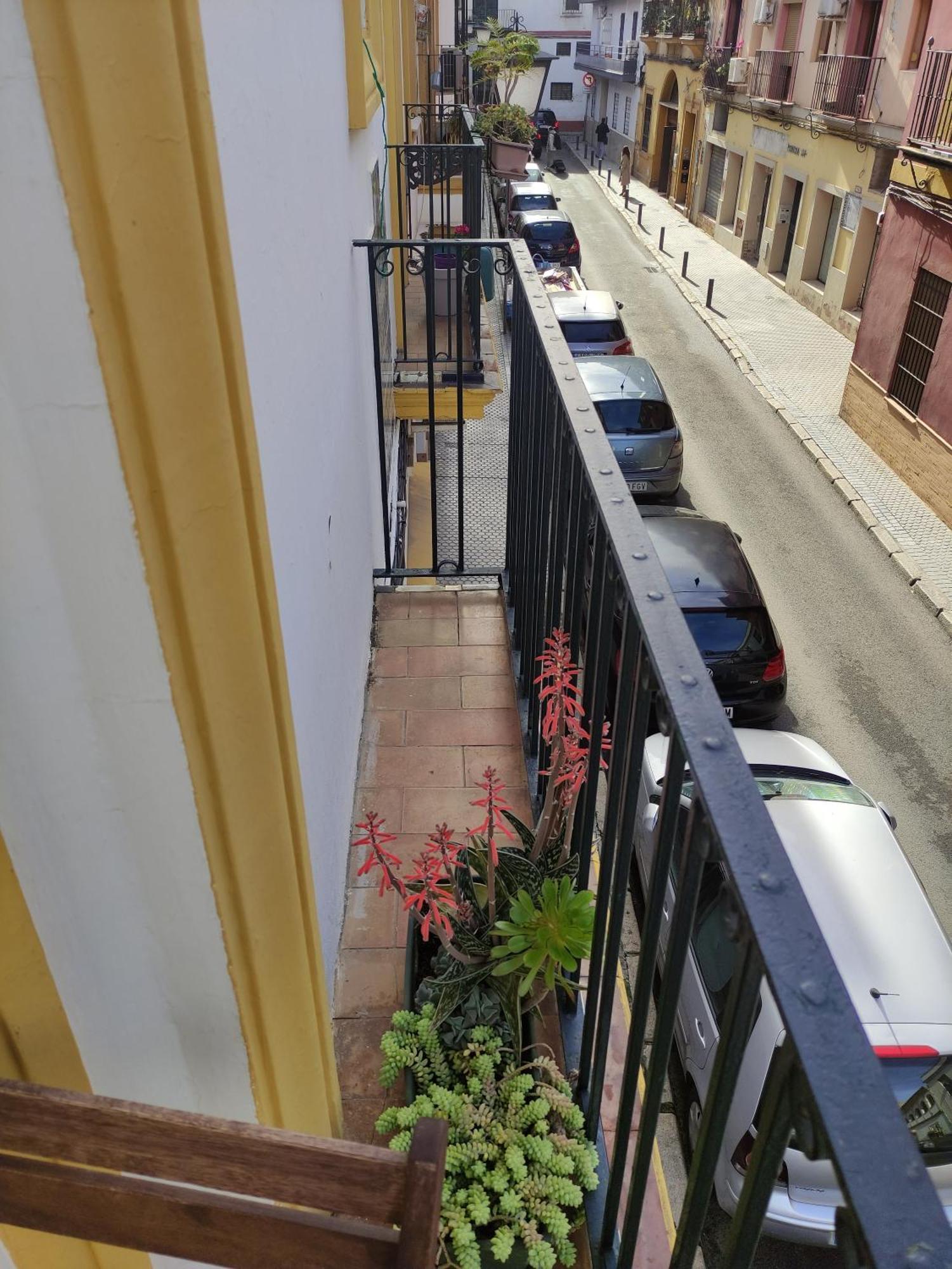 Vive Triana Leilighet Sevilla Eksteriør bilde